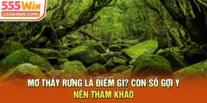 Mơ Thấy Rừng Là Điềm Gì? Con Số Gợi Ý Nên Tham Khảo